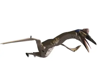 Quetzalcoatlus Simple Quetzalcoatlus rigged 3D model