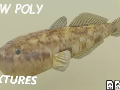 bullhead fish Low-poly 3D model
