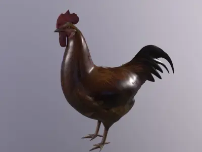 Rooster Animation fix Low-poly 3D model