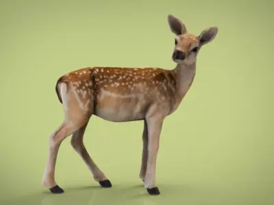 BABY DEER Low-poly 3D model