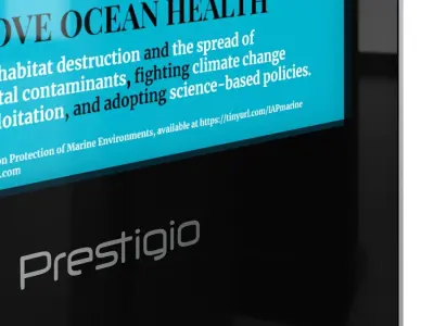 TOTEM INFORMATION SCREEN 3D model