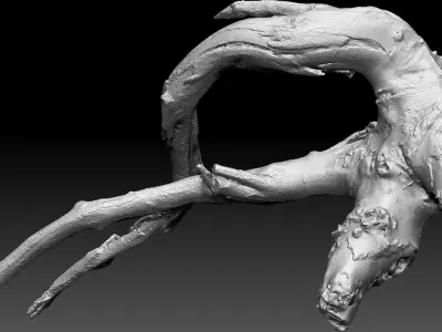 Tree root 3d scan in highpoly 3D model