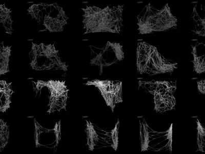 Cobwebs Collection open door with spider webs 3D model