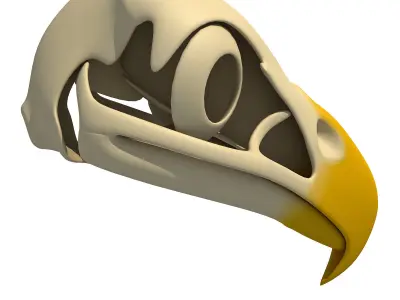 Bones of Eagle Skull 3D model