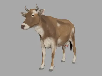 Cattle cow 3D model