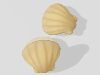 Shell Pearl - Hand Painted Free 3D model