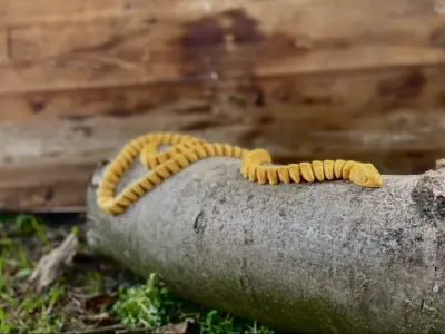 Flexi snake cobra 78cm fantasy print in place Free 3D print model