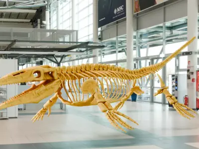 Realistic Ancient Reptilians Fossil - Mosasaurus Low-poly 3D model