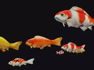 Carp Koi Flock Realistic Fish River Animal Animated Lowpoly Low-poly 3D model