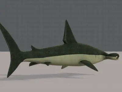 Shark V02 Low-poly 3D model