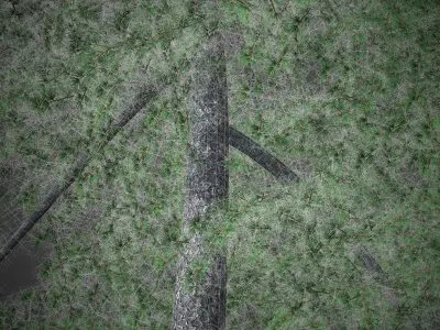 XfrogPlants Himalayan Cedar - Cedrus Deodara  3D model