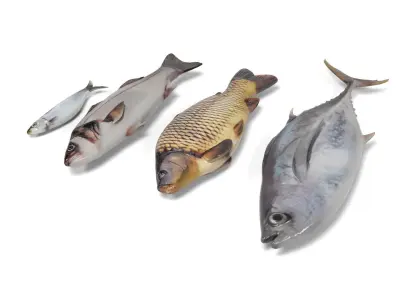 Fish 2 set Low-poly 3D model