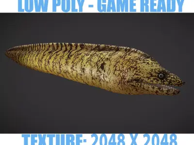 Lamprey eel Low-poly 3D model