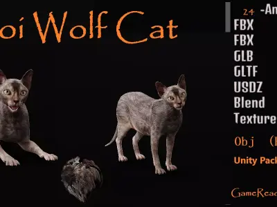 Lykoi Wolf Cat Free 3D model