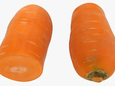 Half Carrot 3D model