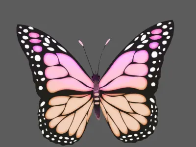 Flying Butterfly  Rigged Model 3D model