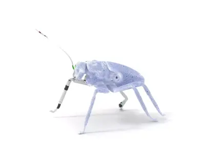 Cyber Insect Metallic model pack Low-poly 3D model