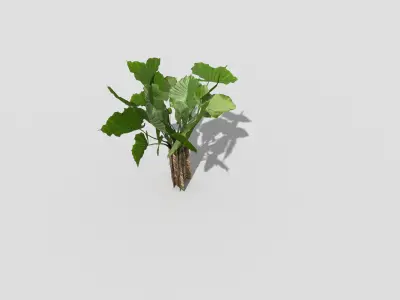 Low poly Plant ivy Low-poly 3D model