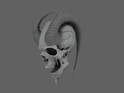 Skull Model 3D model