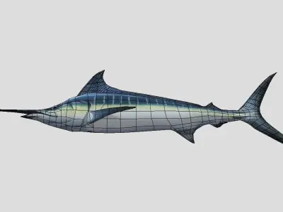 Blue Marlin  Realistic Animated Low-poly 3D model