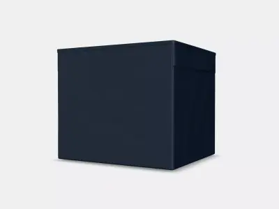 DRONA Box Low-poly 3D model