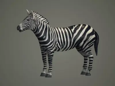 animals animal zebra horse land mammals plains mammal 3D model