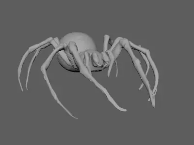 Spider  3D model