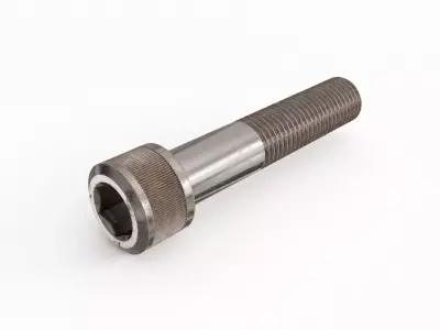 Screw 132 3D model