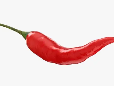 Red Hot Chili Pepper 3D model