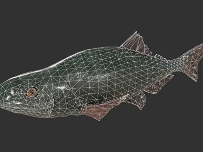 Freshwater Fish Low-poly 3D model
