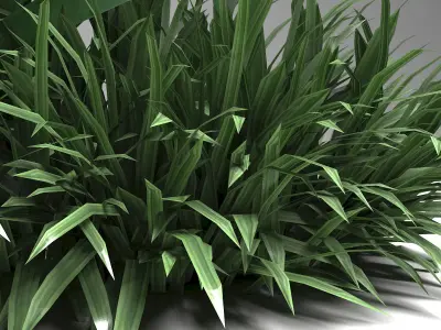 Tropical plant set Low-poly 3D model