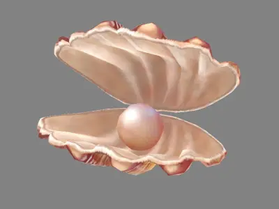 Pearls and shells - mussels Low-poly 3D model