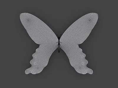 BFLY-008 Butterfly 3D model