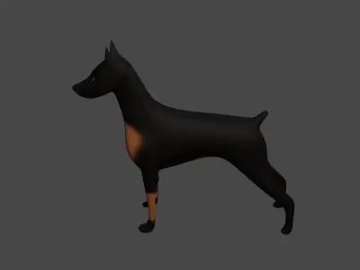Doberman Dog 3D model