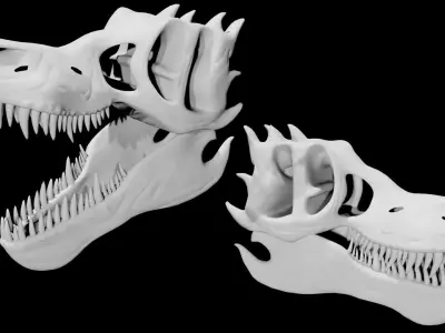 Trex skull Low-poly 3D model