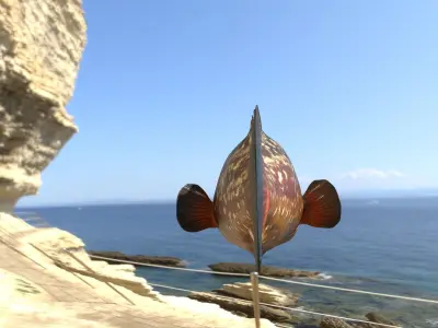 Grouper photorealistic sea fish 3d model Rigged Animated Low-poly 3D model