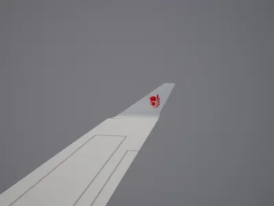 Lion Air Boeing 737 MAX 8 3D model