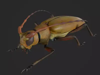 Longhorn Beetle Mantitheus Pekinensis Low-poly 3D model