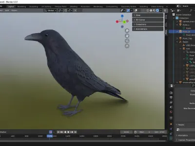 RealisticAnimatedRaven 3D model