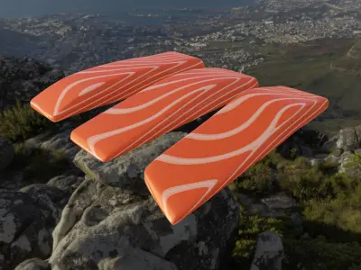 Small Slices of Salmon Meat Free 3D model