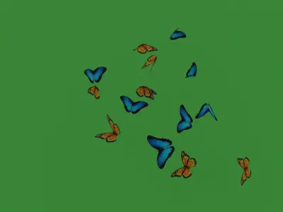 butterflies animation Low-poly 3D model