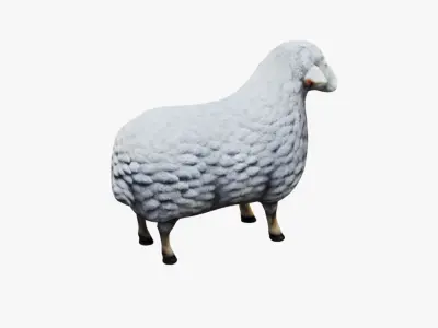 Sheep Free 3D model