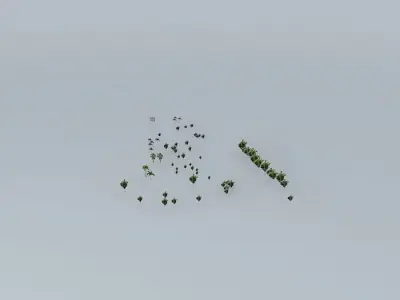 Trees on the Port Part 07 Free 3D model