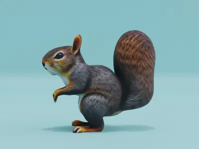 Squirrel realistic Rodent Free low-poly 3D model