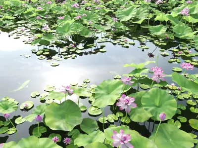 Lotus and Koi Fish Pond 01 Low-poly 3D model