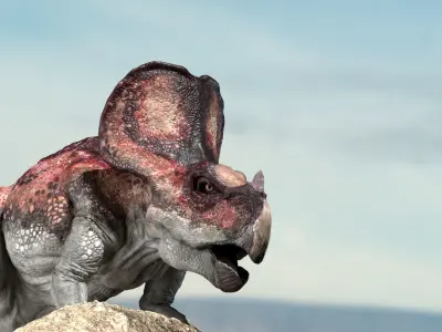 model Protoceratops 3D Rigged Low-poly 3D model