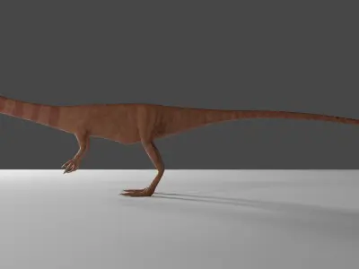 Coelophysis Low-poly 3D model