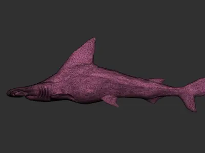 hammerhead shark Low-poly 3D model