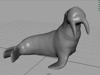 Walrus Low-poly 3D model