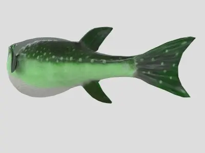 Grass Puffer Realistic Animated Low-poly 3D model